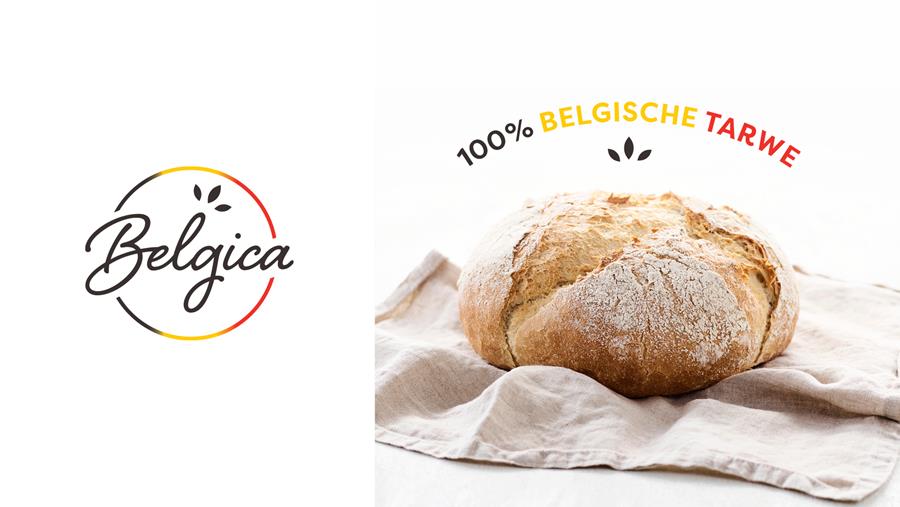 BELGICA VAN 100% BELGISCHE TARWE