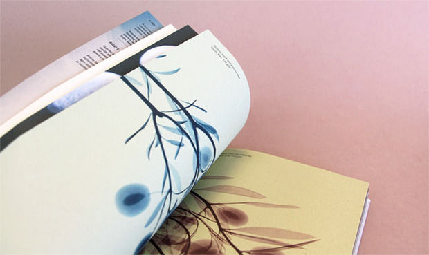 Igepa: Nieuwe brochure zet Crush collectie op unieke wijze in de kijker!