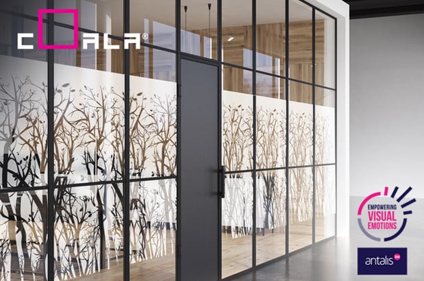 Décorez vos vitrages avec Coala Windows Decor tout en préservant votre intimité