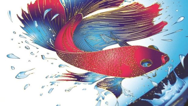 Nouveau site web sensoriel de Konica Minolta