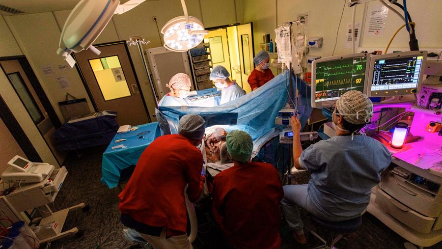 « Naître, premiers regards » : une expo photo du Dr Marc Trippaerts, et trois conférences autour de la naissance