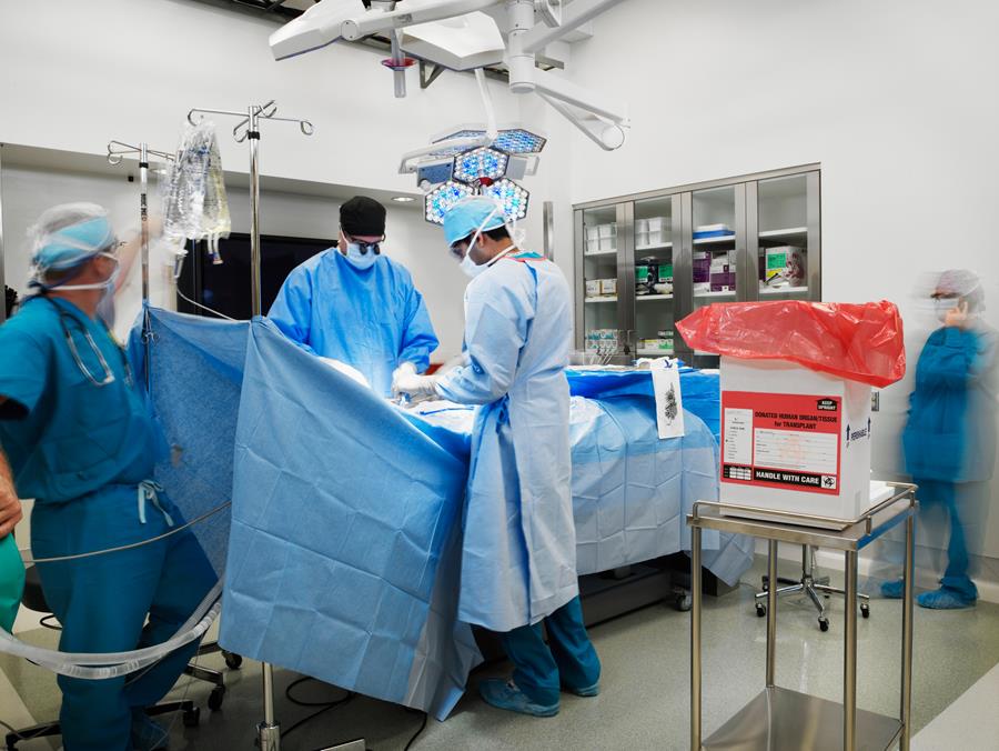 Trois transplantations d'organes sont réalisées chaque jour en Belgique