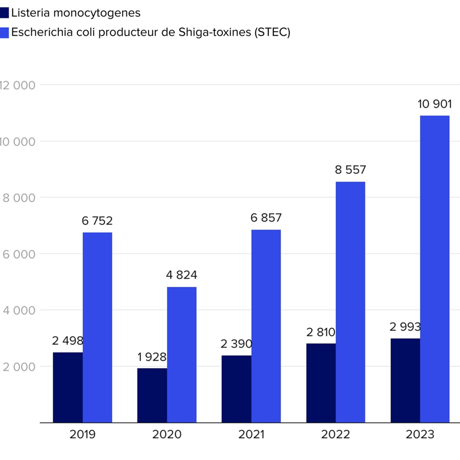 Nombre record d'infections d'origine alimentaire en 2023 en Europe