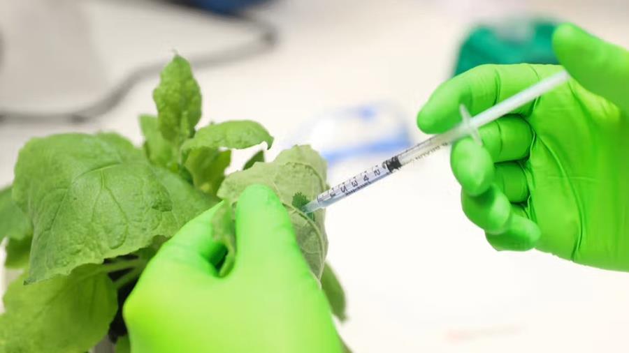 L’entreprise biopharmaceutique wallonne ATB Therapeutics ouvre un centre de recherche à Gand