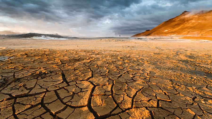 Lancement et première audition de la "commission paneuropéenne sur le climat et la santé" (OMS)