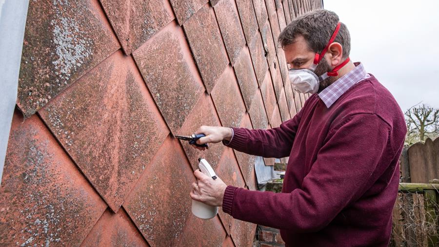 De belangrijkste ziekmakers op de werf