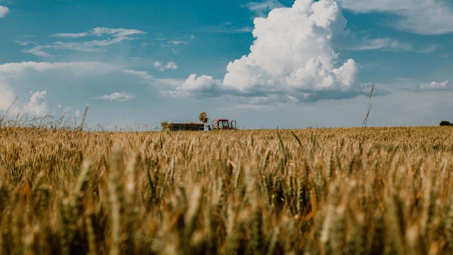 Santé publique : les effets des pesticides ne peuvent plus être ignorés
