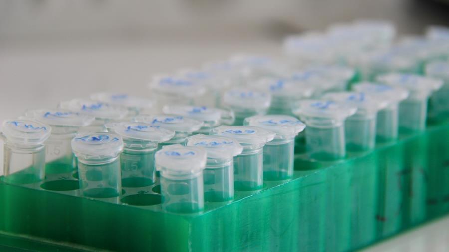 Des thérapies innovantes potentiellement disponibles avant l’autorisation de l’EMA