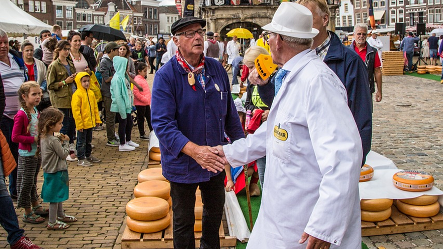 Het belang van het pekelbad bij de Goudaproductie